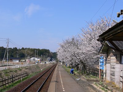 �����J�ł�