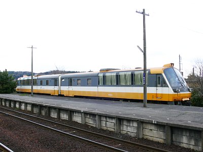 �\�o�����w�ɕۑ�����Ă���m�s�W�O�O�`�C����