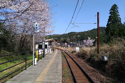 �z�[���������J�[�u�ɂȂ��Ă���