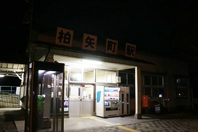 ��̔���w