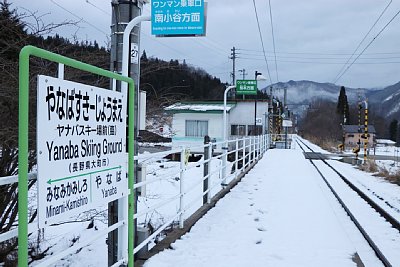 �P���z�[��