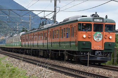 ��ȉw�ɓ�������115�n