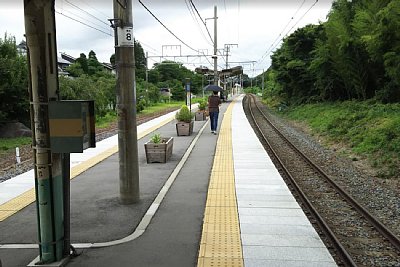 �����z�[���ł��Ȃ蒷��