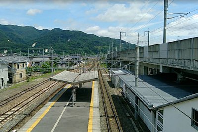 ���D���ɂ݂ǂ�̑���������܂�