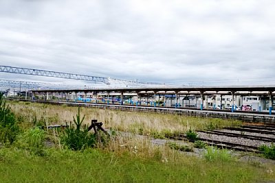 �͉̂ݕ���Ԃ���܂��Ă����̂ł��傤��