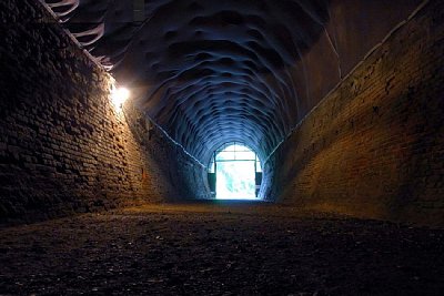 �m����p���Ղ̎��v�ۃg���l��