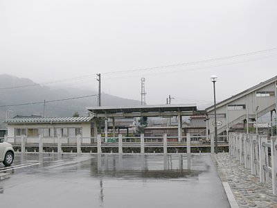 �p�[�N�A���h���C�h���ԏꂩ��z�[�����B�e