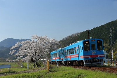 �n�C��330-700�`�C����