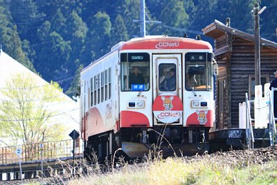 �n�C��295-617�`�C����