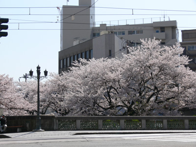 �����̎�������炭