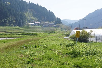 �Ŕɂ�肱���ɐ��H�����������Ƃ��킩��܂�